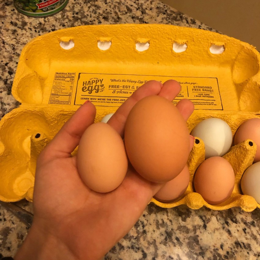 Яйца куриные из Польши