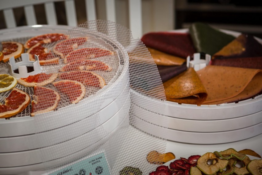Сушилка Ezidri Snackmaker fd500