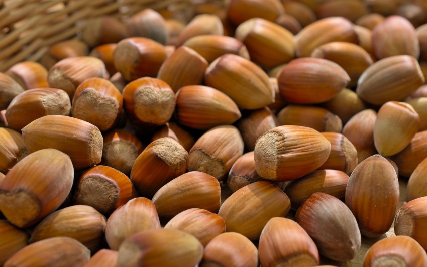 Be Nuts. Очень Орехово