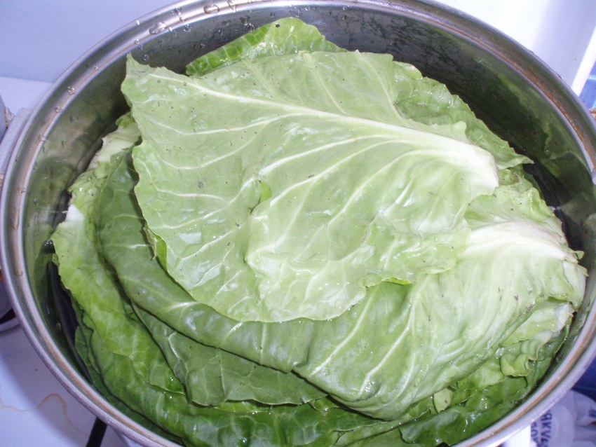 Лист капусты белокочанной