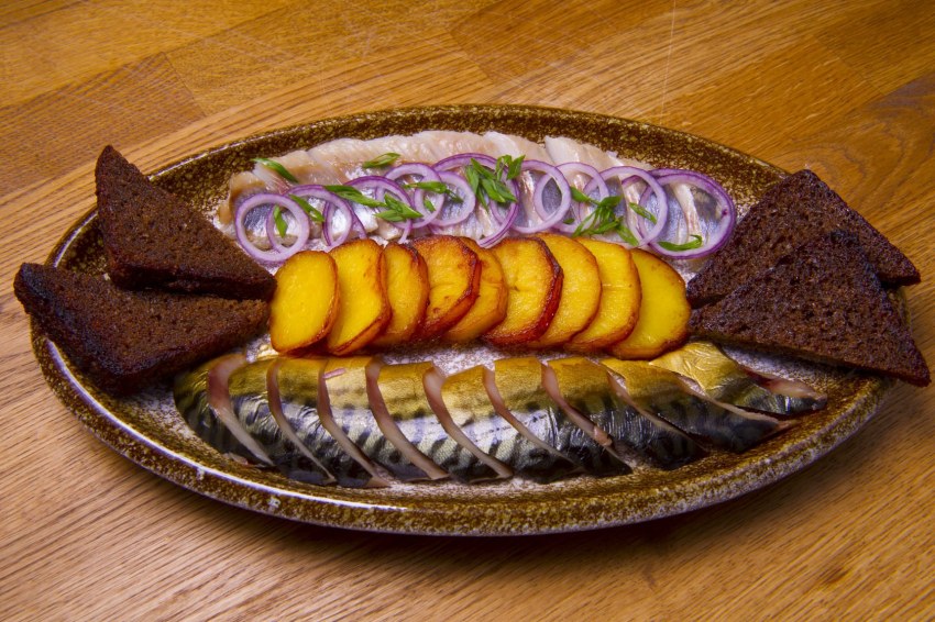 Сельдь и скумбрия