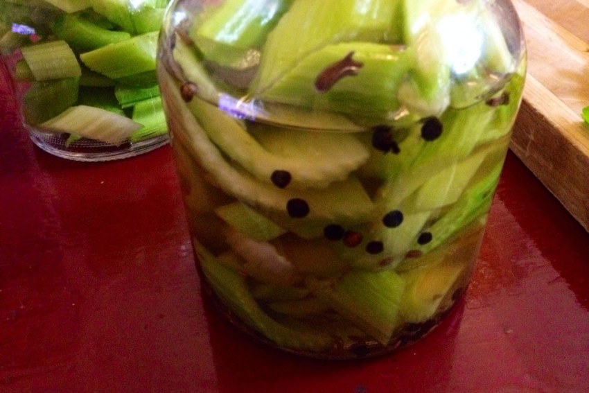 Маринованный сельдерей