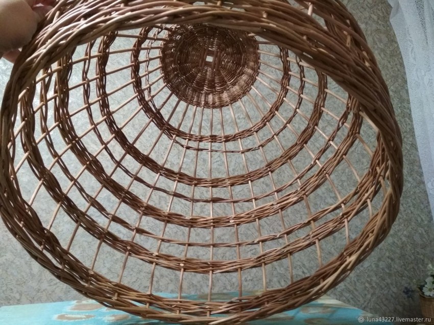 Ива плакучая плетеная