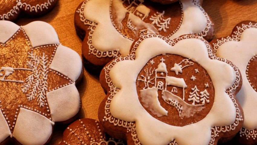 Холмогорские козули