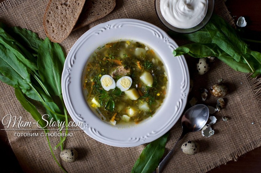 Зелёный борщ с щавелем и яйцом