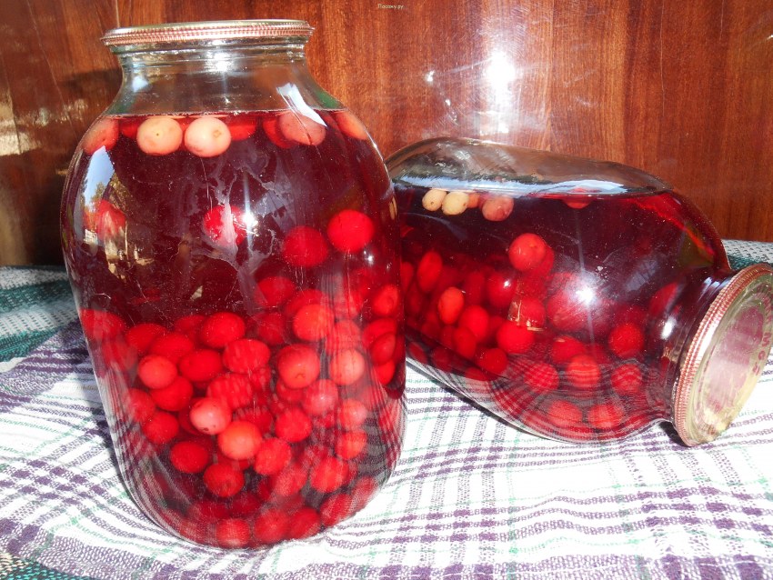 Домашний компот в банках