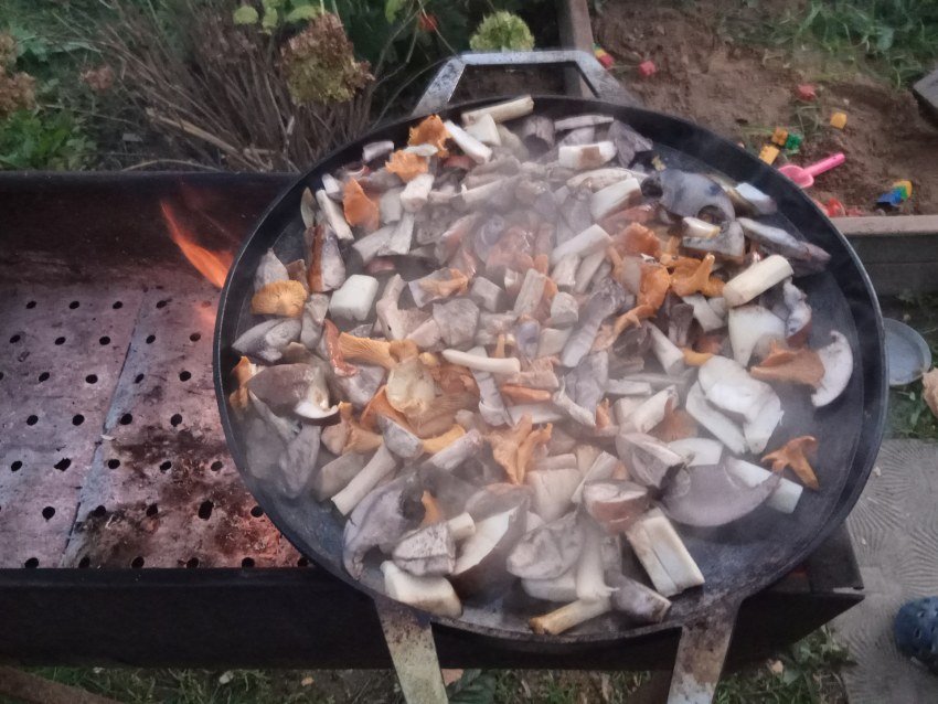 Саджа сковородка из бороны