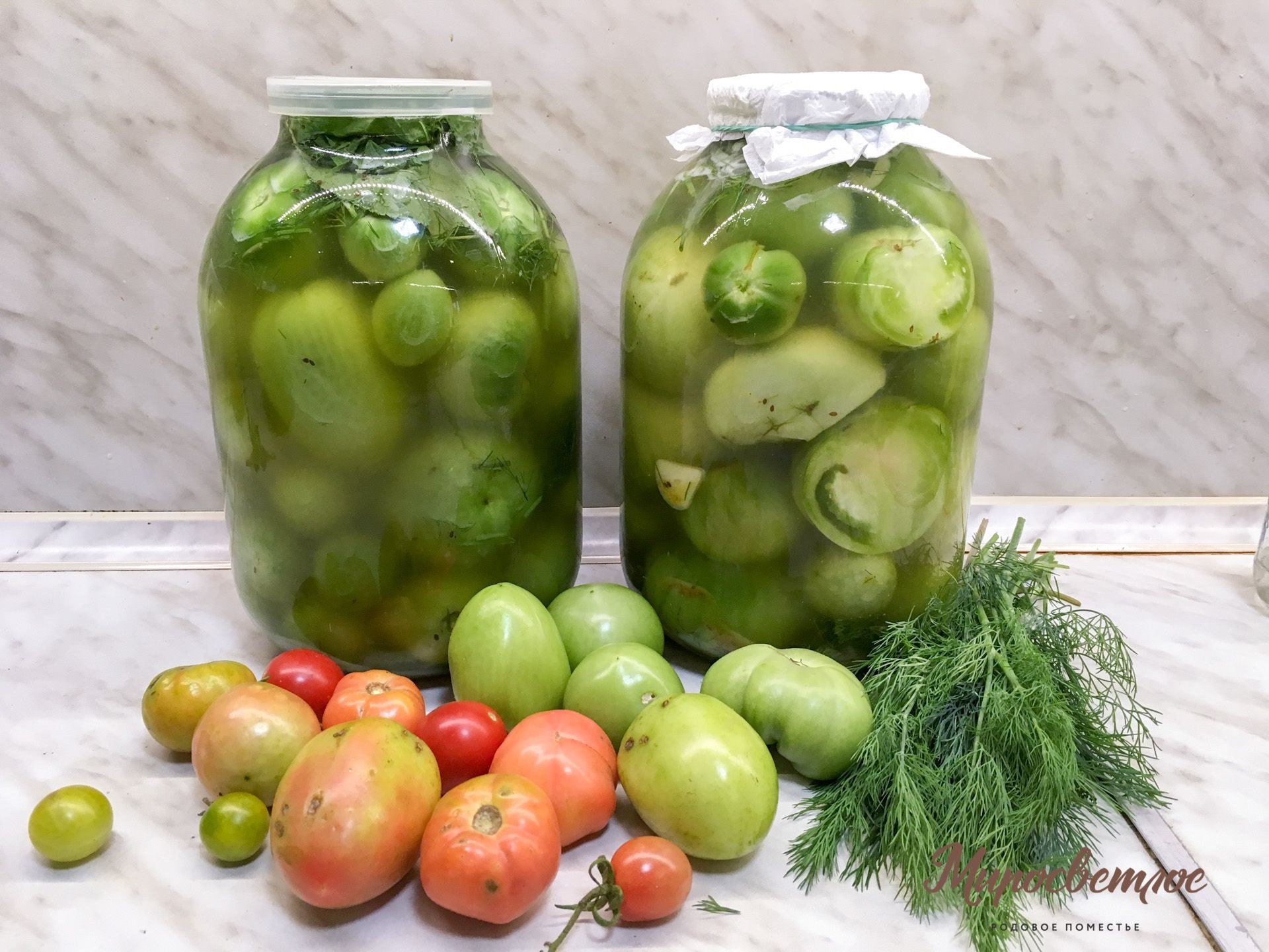 Вкусный рецепт зеленых помидоров на зиму