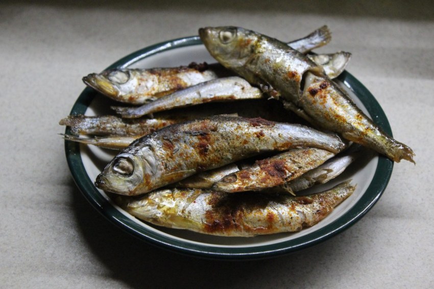Блюда с салакой