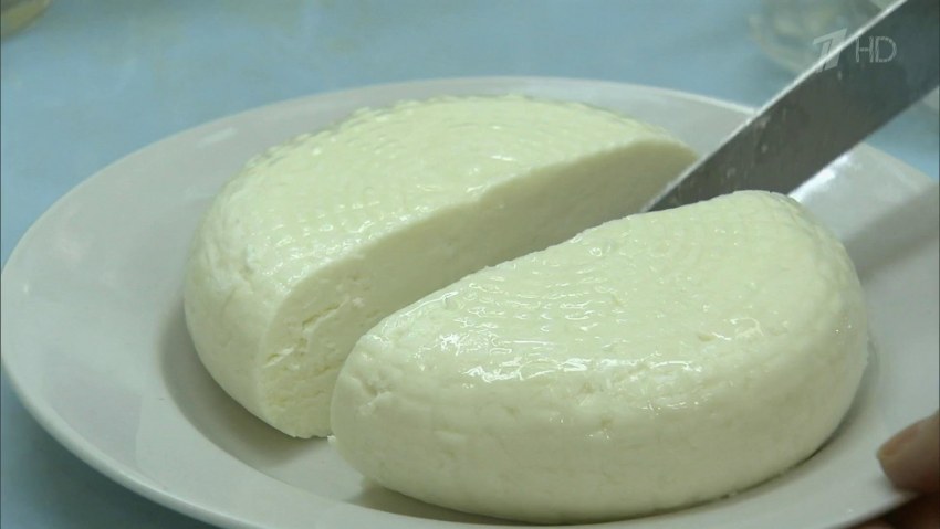 Адыгейский сыр фото