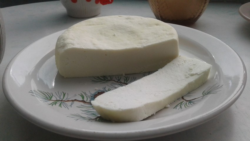 Адыгейский козий сыр