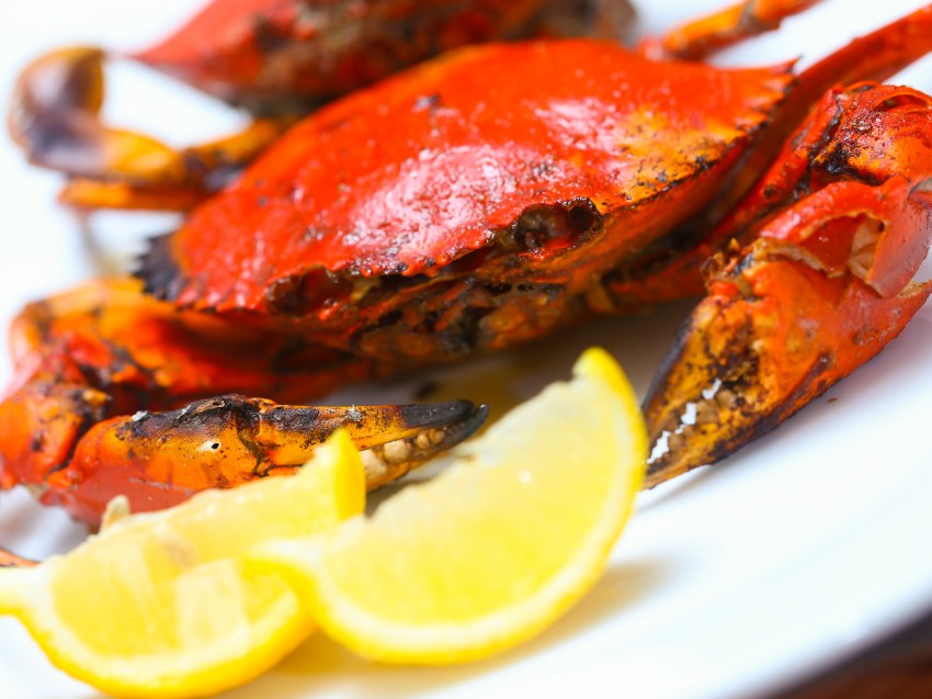 Приготовленный краб вкусный