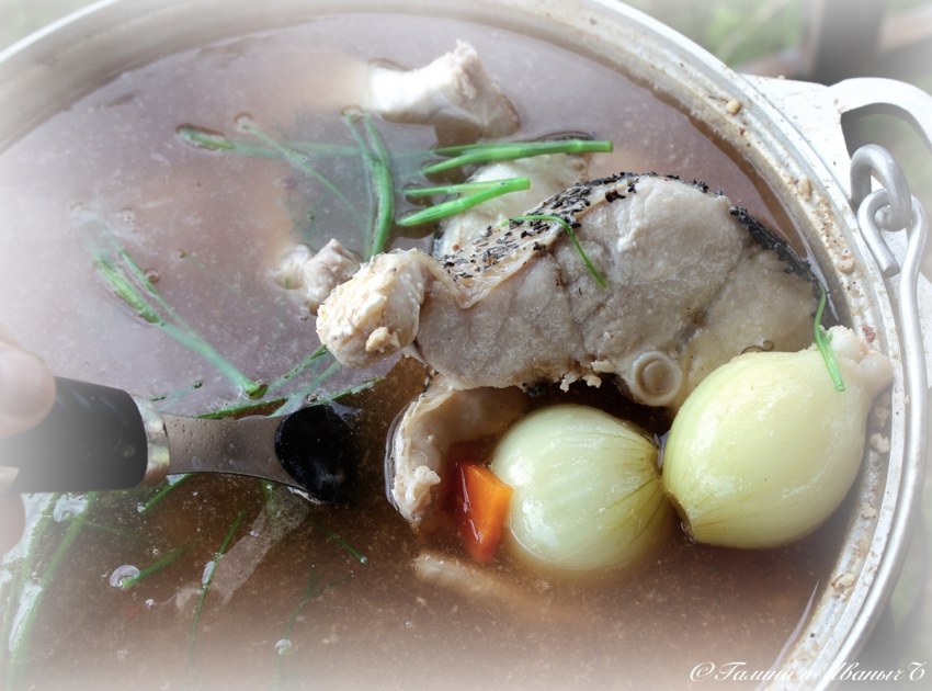 Уха с головешкой