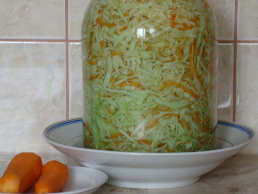 Засолка капусты на зиму