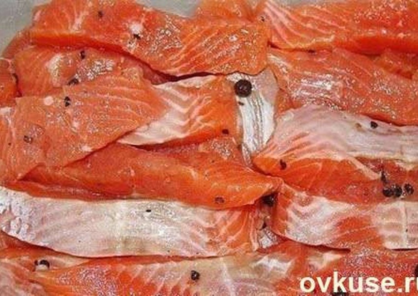 Красная рыба горбуша кета