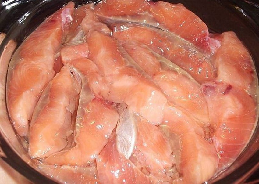 Авача форель слабосоленая