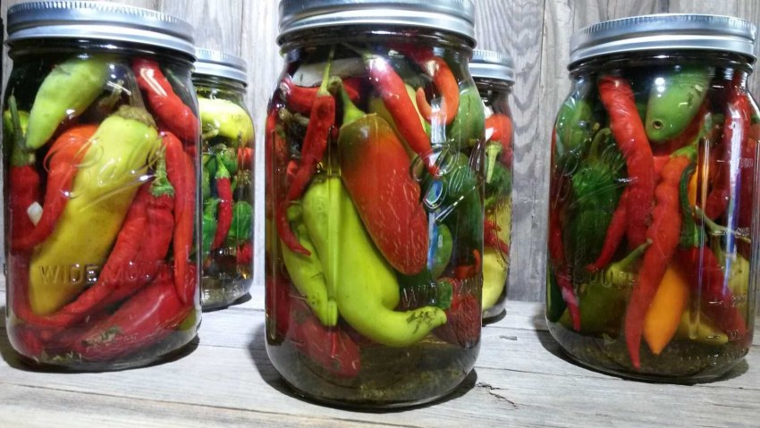 Перчики Чили маринованные
