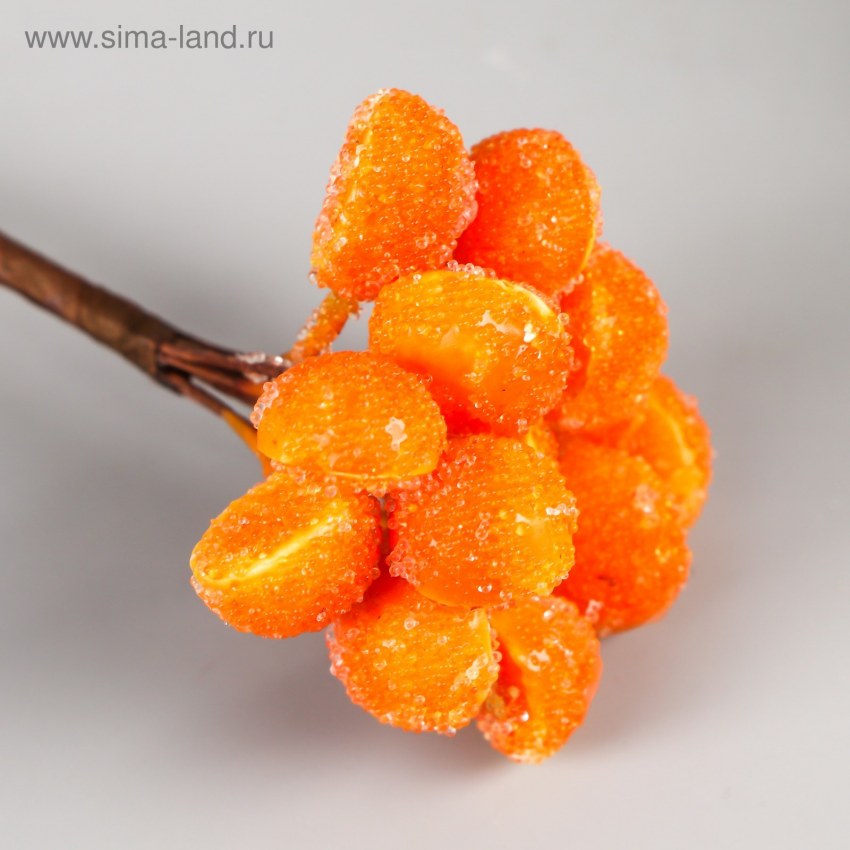 Сахарные апельсиновые дольки