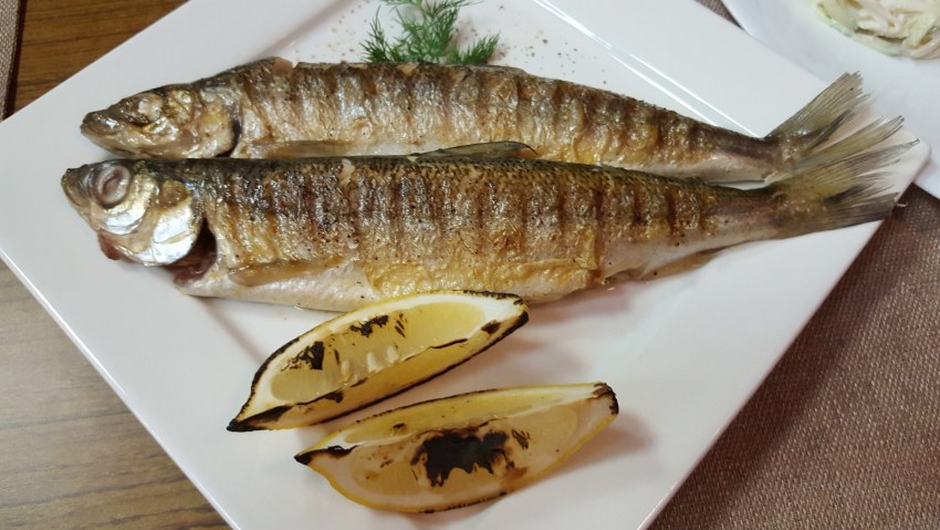 Белый омуль рыба