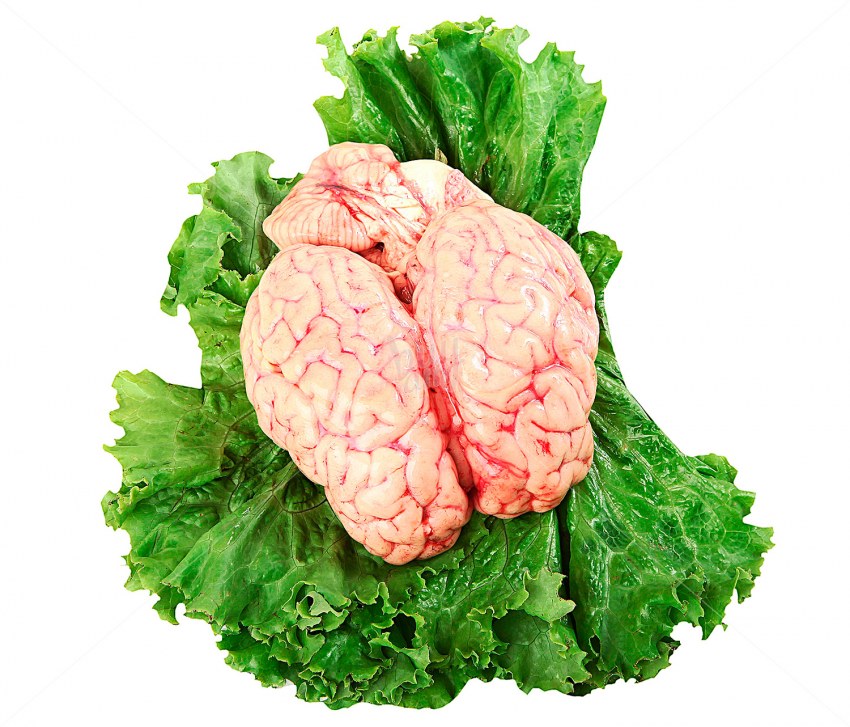 Субпродукты мозги говяжьи