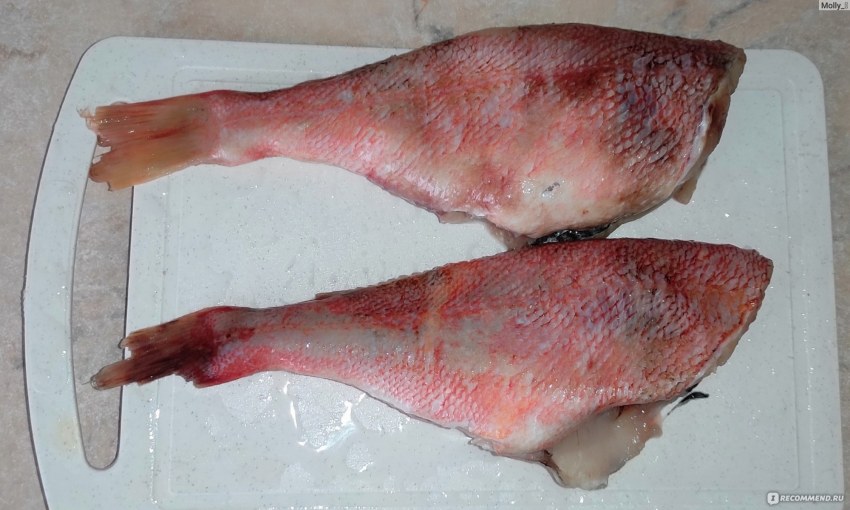 Окунь морской замороженный с головой