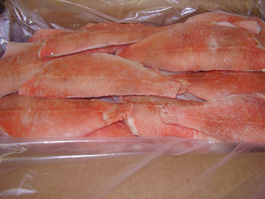 Красноперый окунь морской