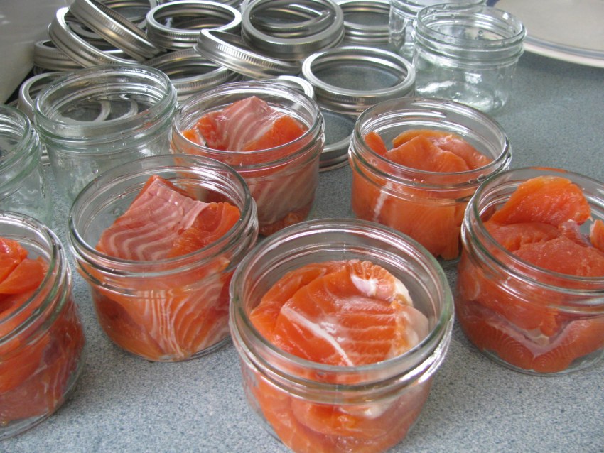 Консервы из семги