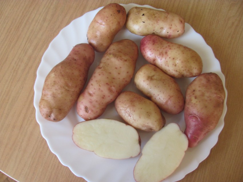 Лапти из бересты и лыка