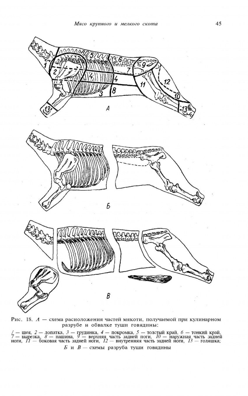 Туша говяжья разделка схема