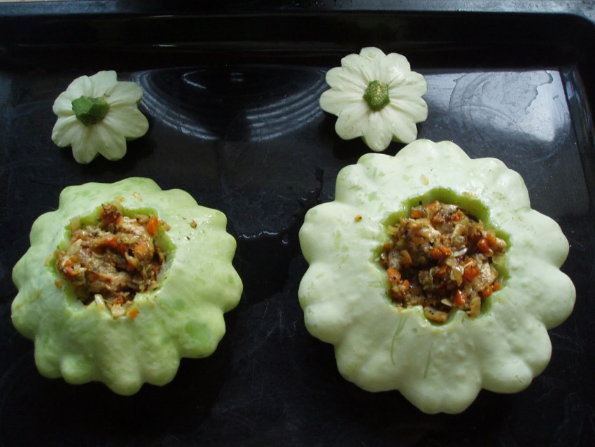Fried Squash