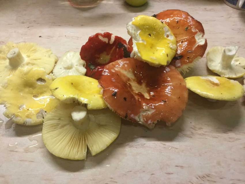 Холодные блюда из рыбы и морепродуктов ТТК