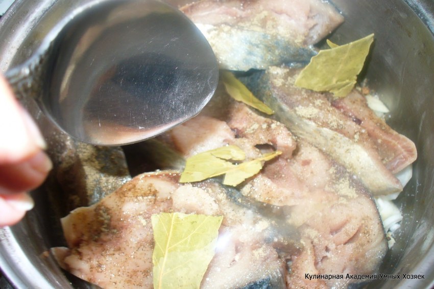 Сельдь и скумбрия