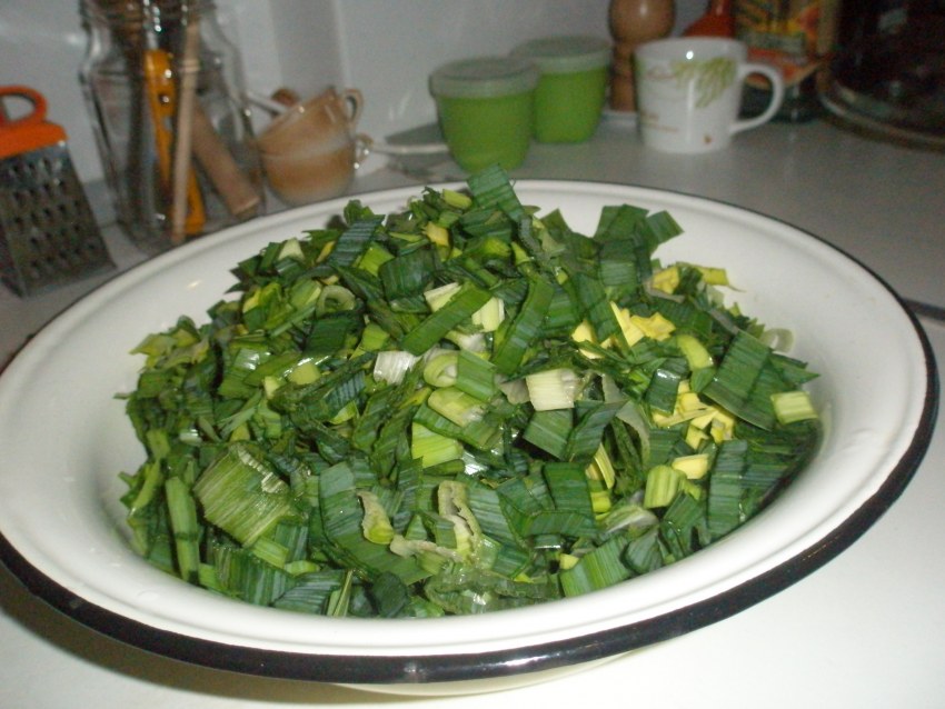 Лук порей корейский