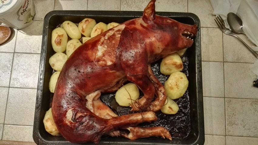 Жареный молочный поросенок