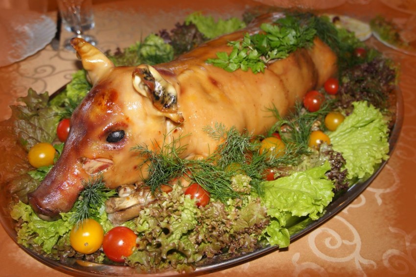Молочный поросенок живой
