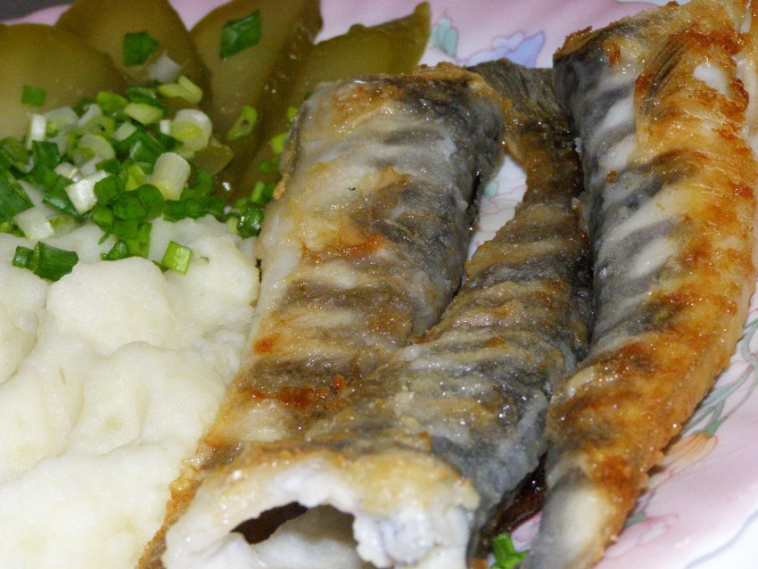 Ледяная рыба блюдо