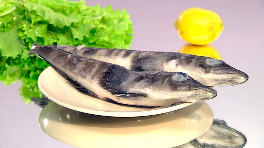 North Sea Halibut блюдо