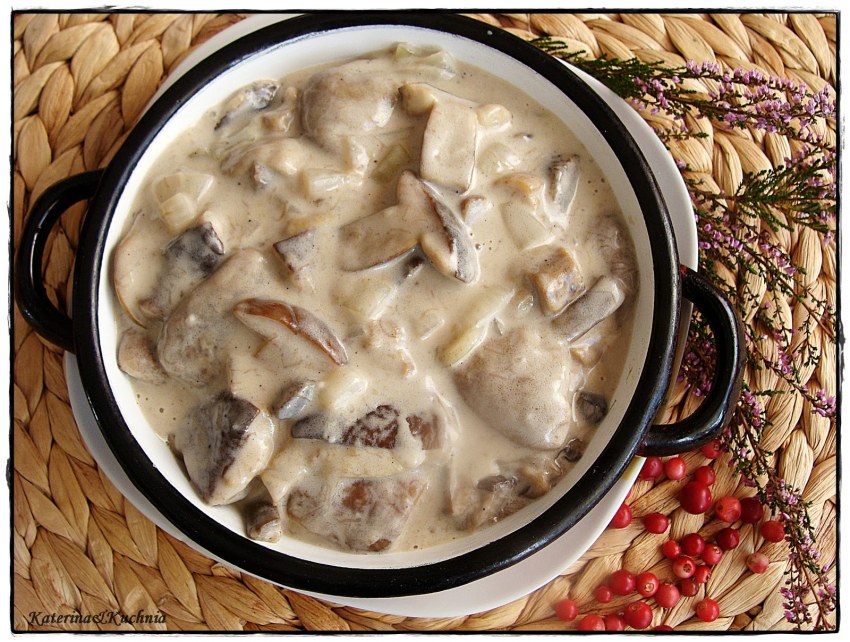 Мачанка грибная