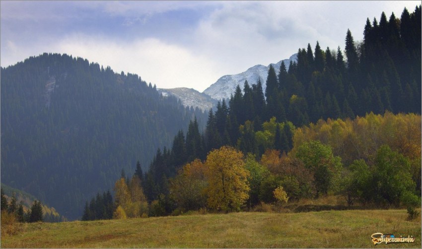 Монахово ущелье Алматы