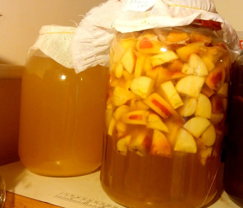 Домашний яблочный уксус