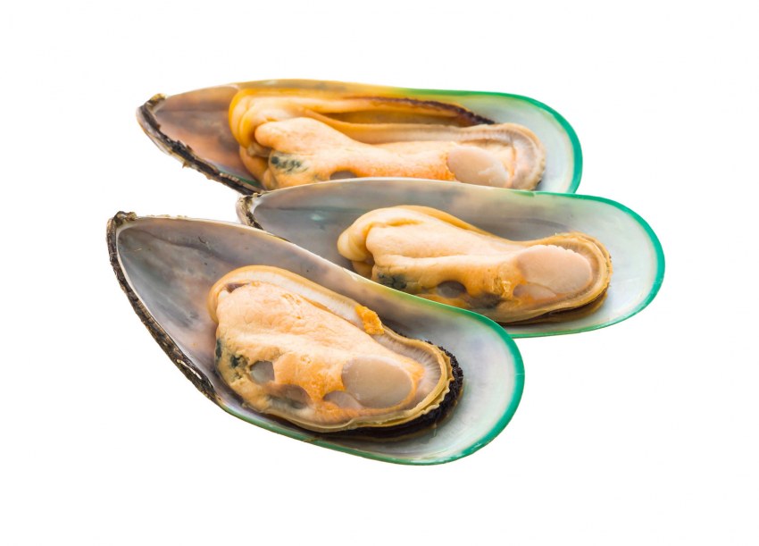 Мидии Nordic Seafood зеленые 1/2