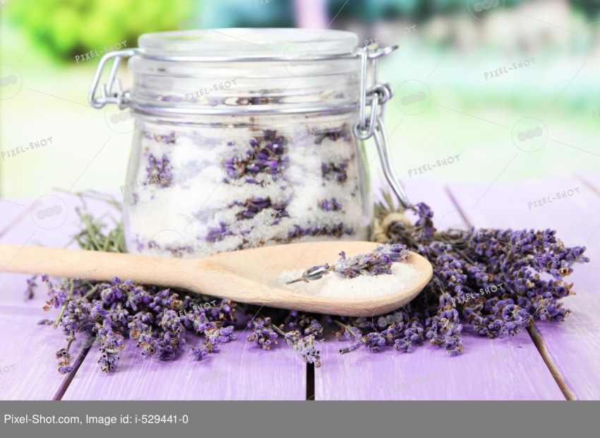 Лаванда - Lavandula d10 h20