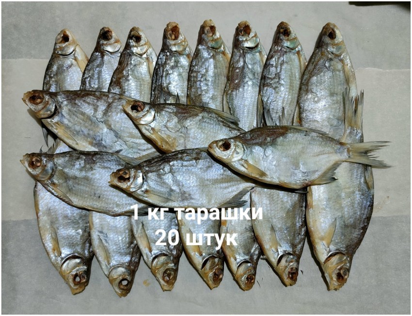 Тарань Астраханская