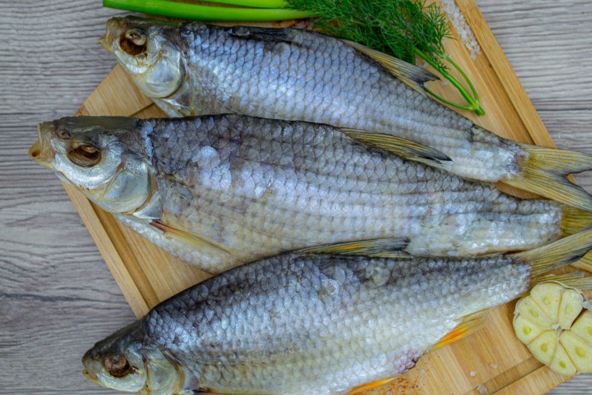 Пелядь рыба копченая