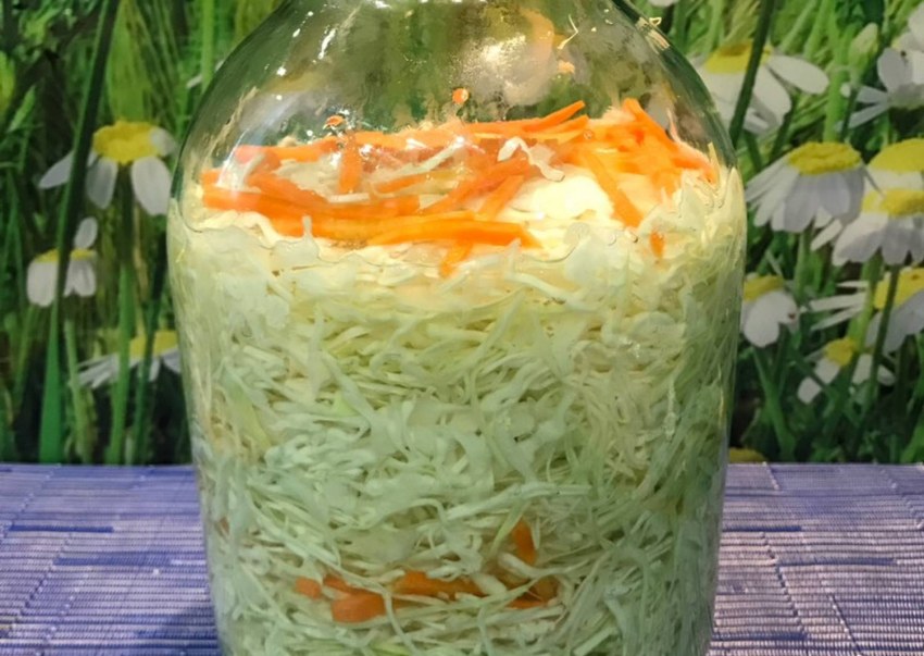 Квашеная капуста рассолом хрустящая