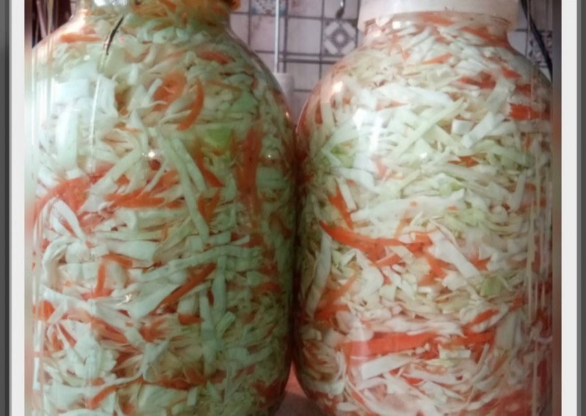 Капуста квашеная с морковью