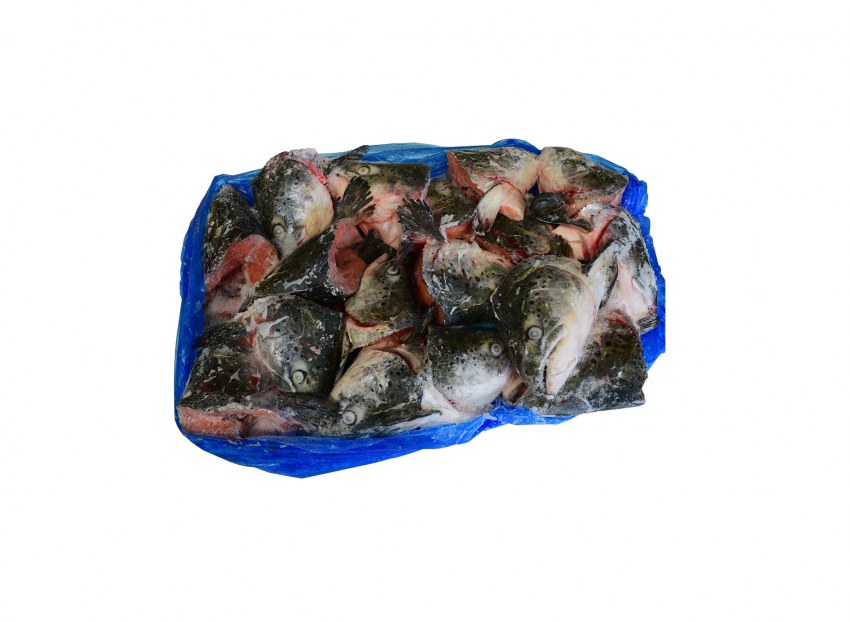 Рыба с красной головой