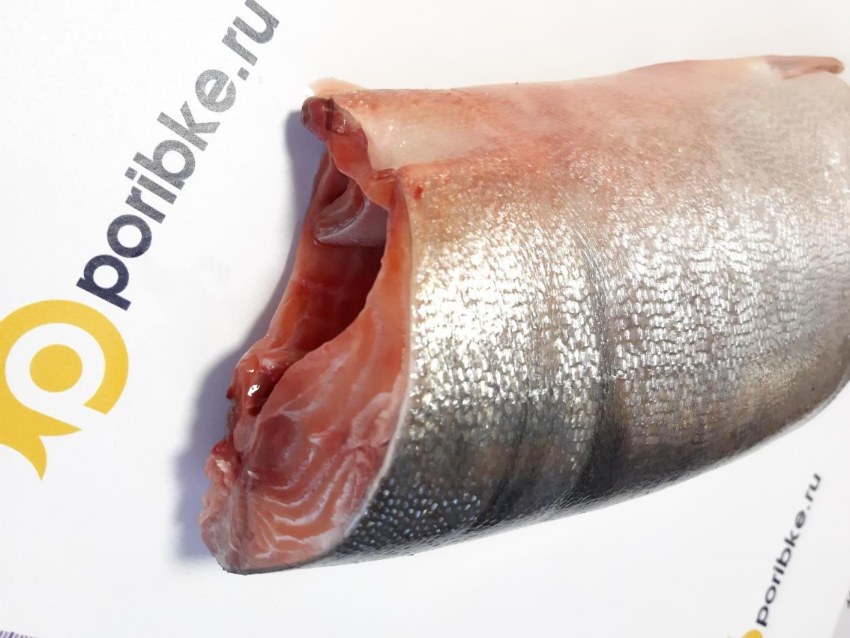 Лосось розовое на голове