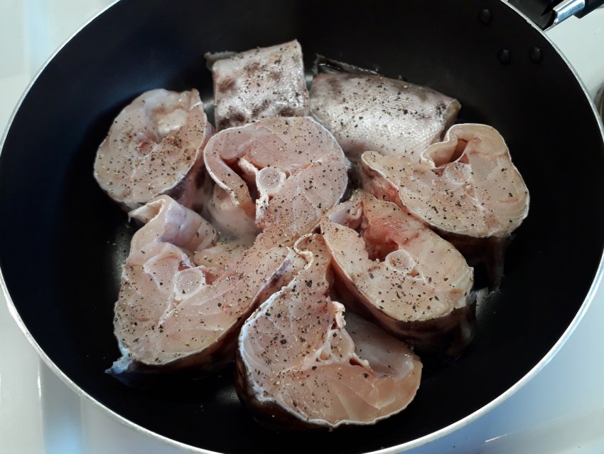 Конго рыба креветочная