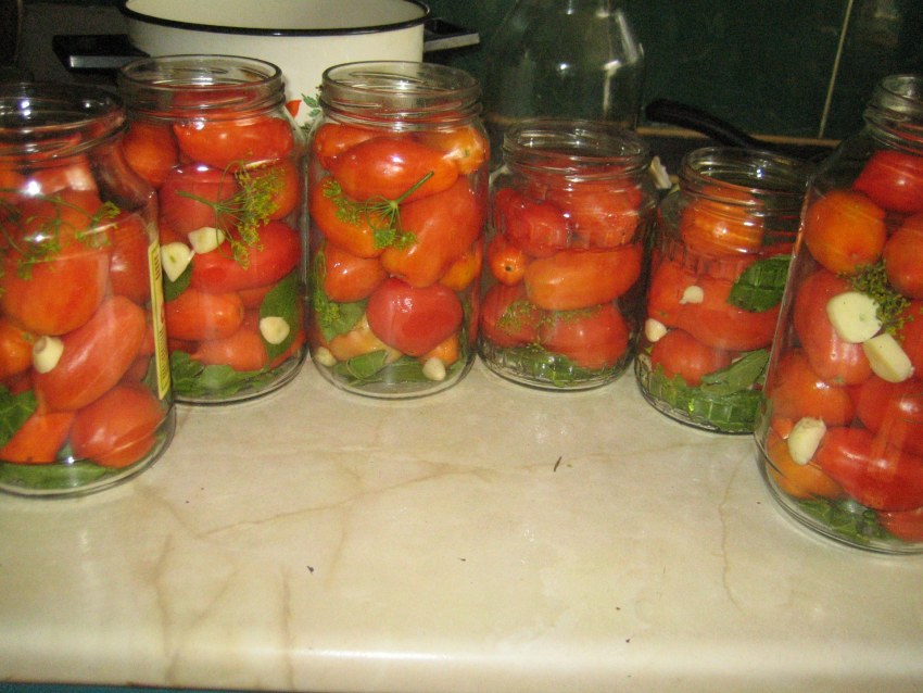 Pomidori marinad